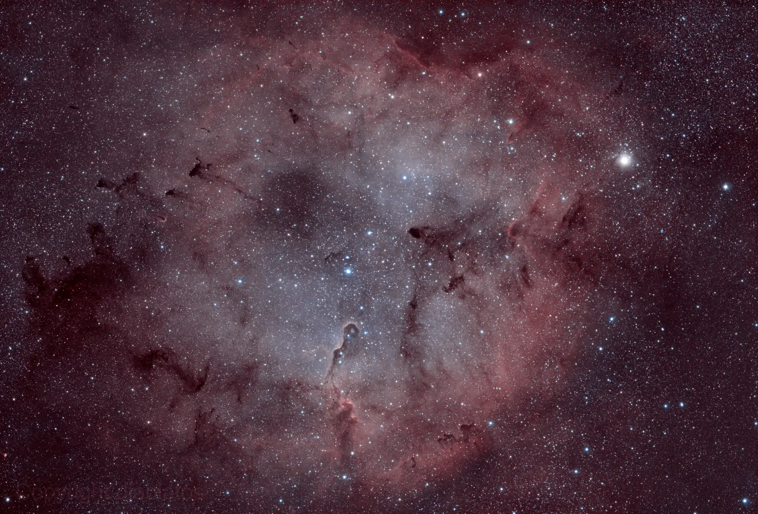Amas d'étoiles IC1396, @Anthony Fachinger